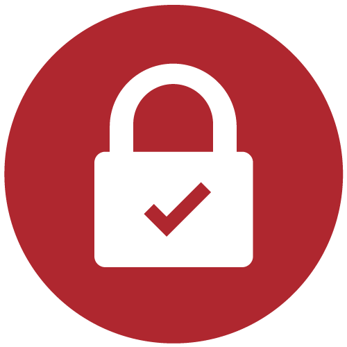 Lock with a checkmark in circle icon