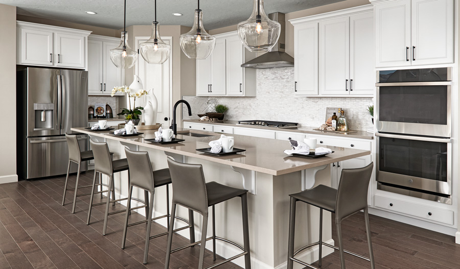 The Laurel Kitchen of the Laurel plan