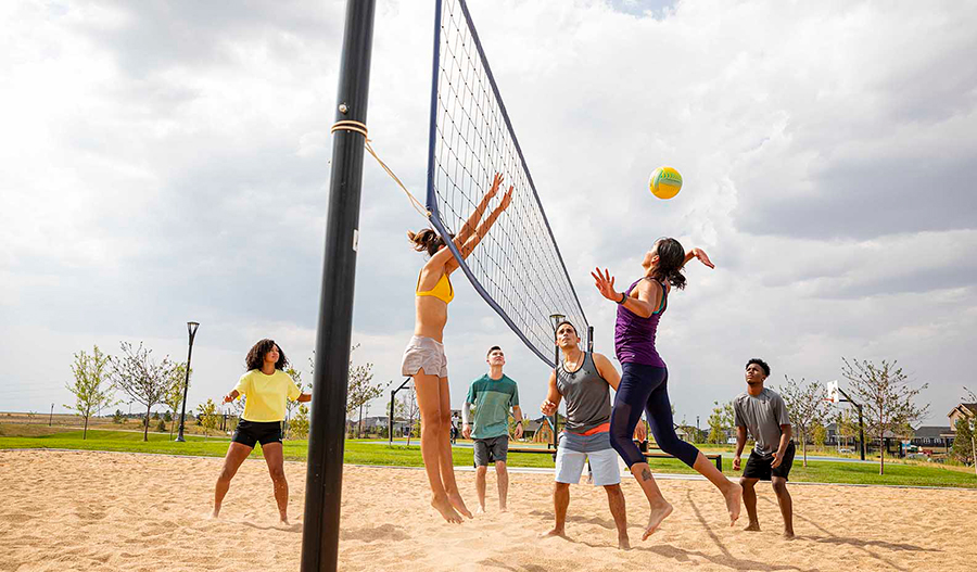 Volleyball court at harmony