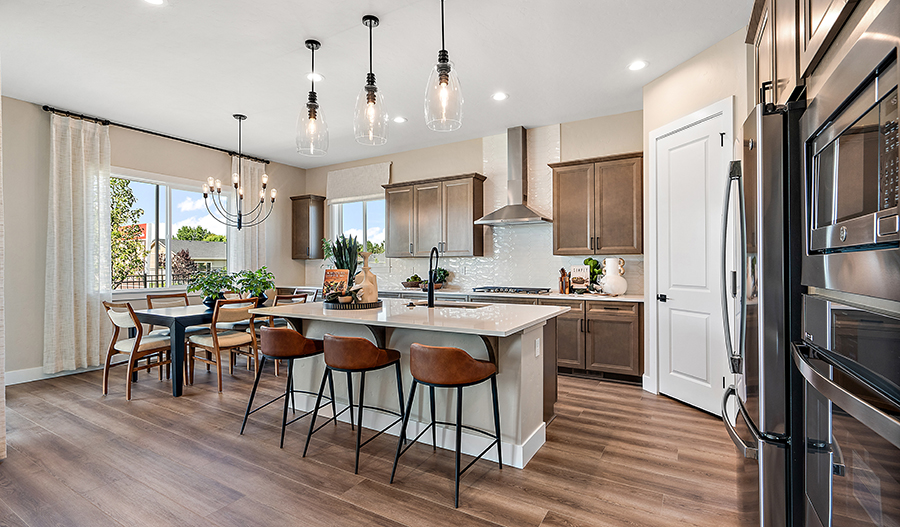 Interior shot of a beautiful new kitchen