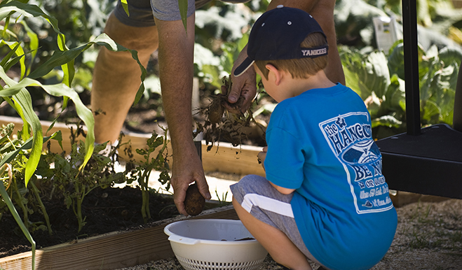 Boy crouching in a community garden