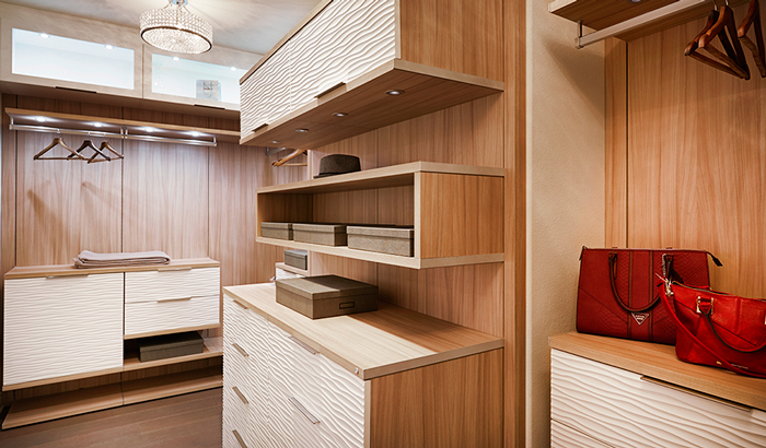 Closet with built-in shelves and drawers 