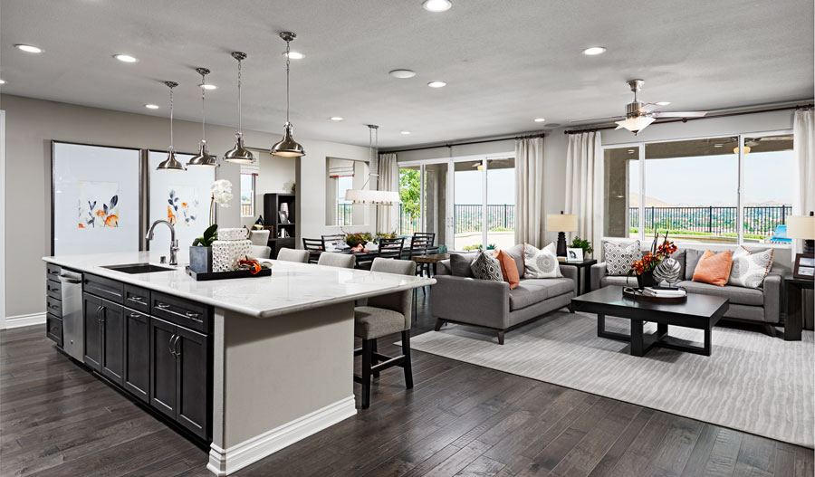 Julia model home great room