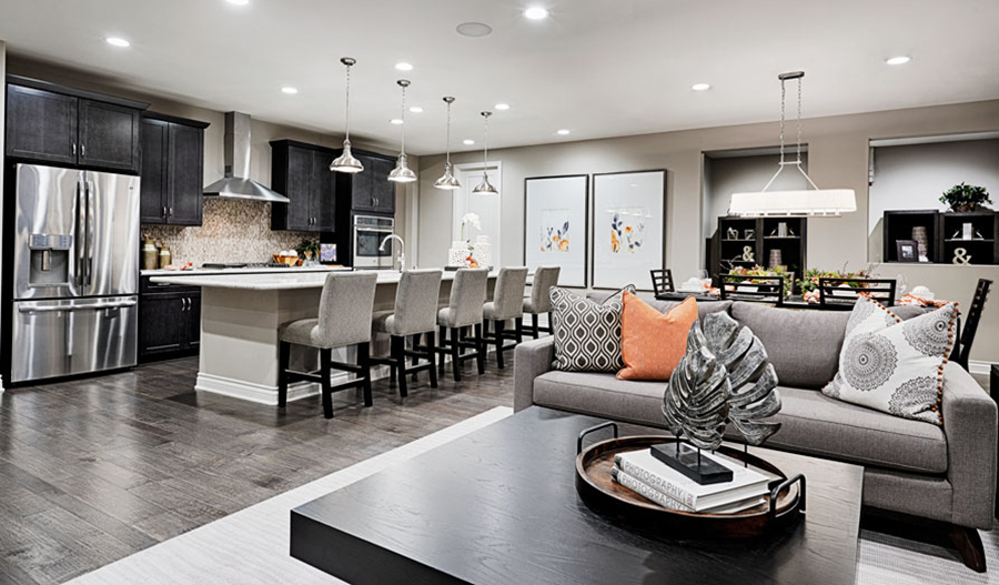 Julia model home great room