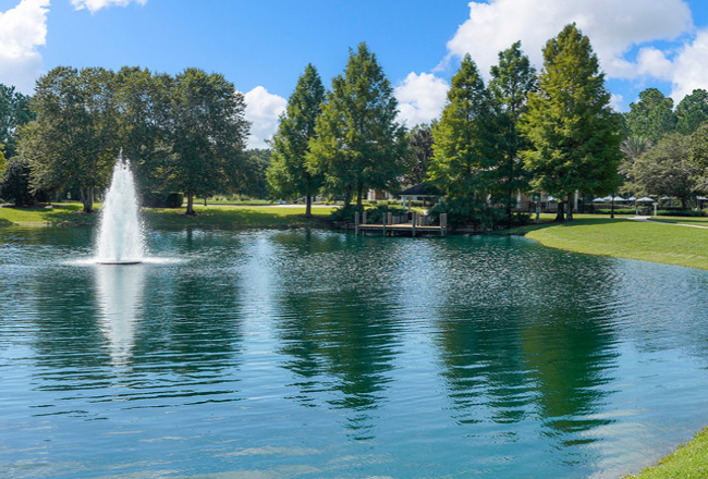 Community lake with fountain