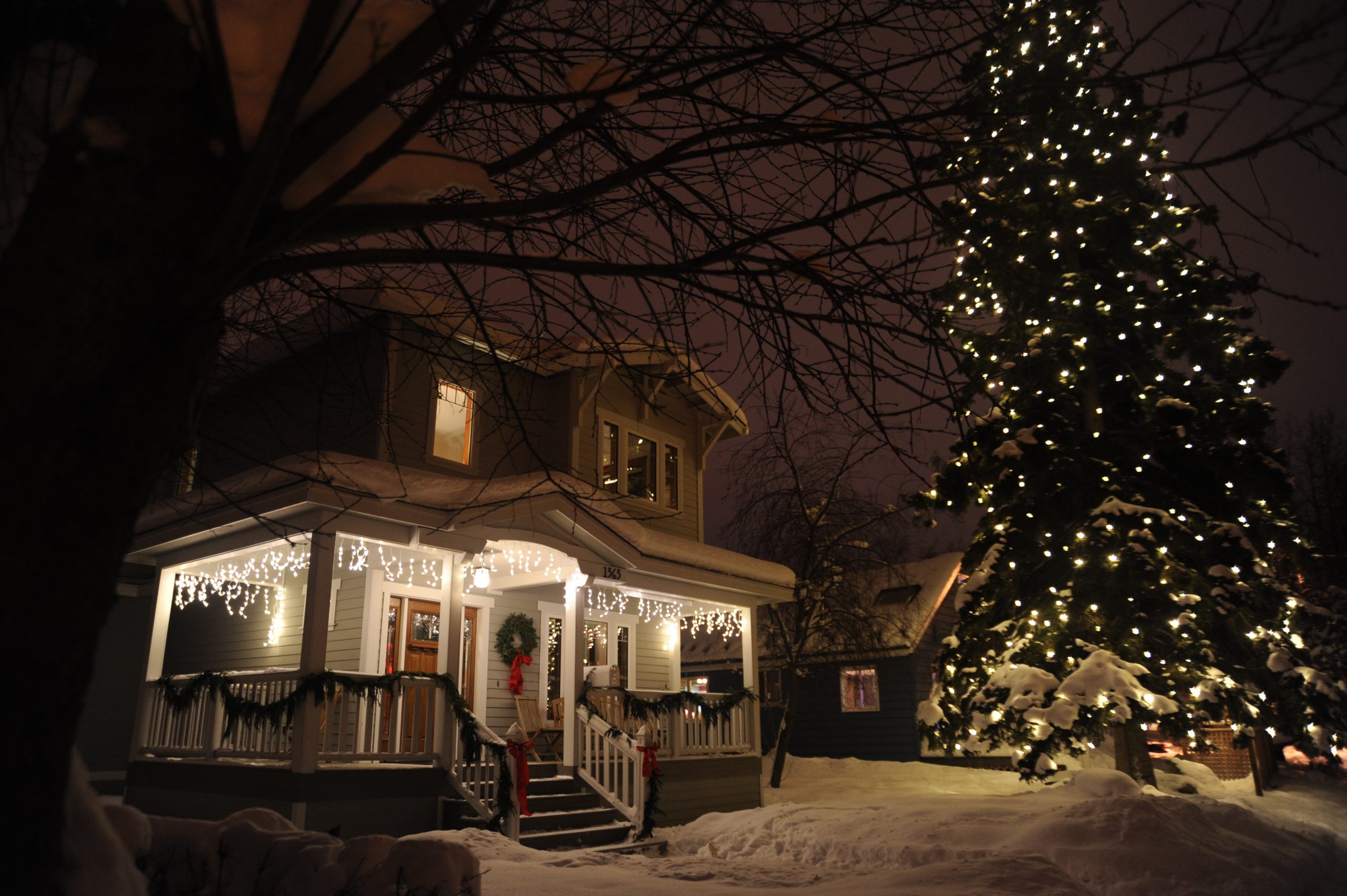 House with holiday lights