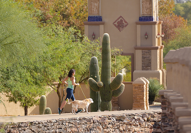 Woman jogging with golden retriever in front of Rancho Sahuarita monument