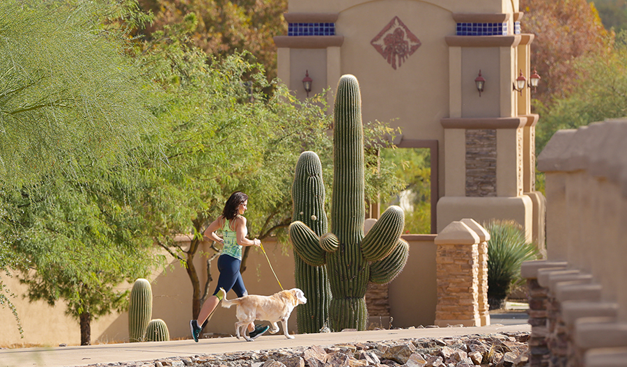 Woman jogging with golden retriever in front of Rancho Sahuarita monument