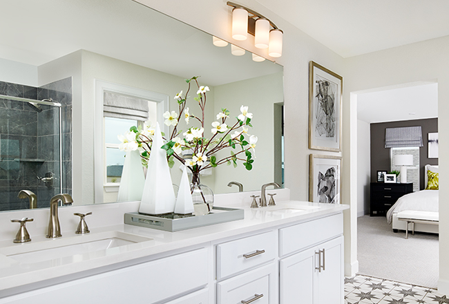 Seasons Tourmaline model primary bath