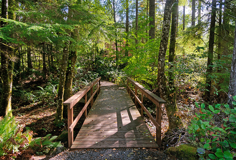 McCormick Trails Boasts Stunning Houses for Sale in Port Orchard