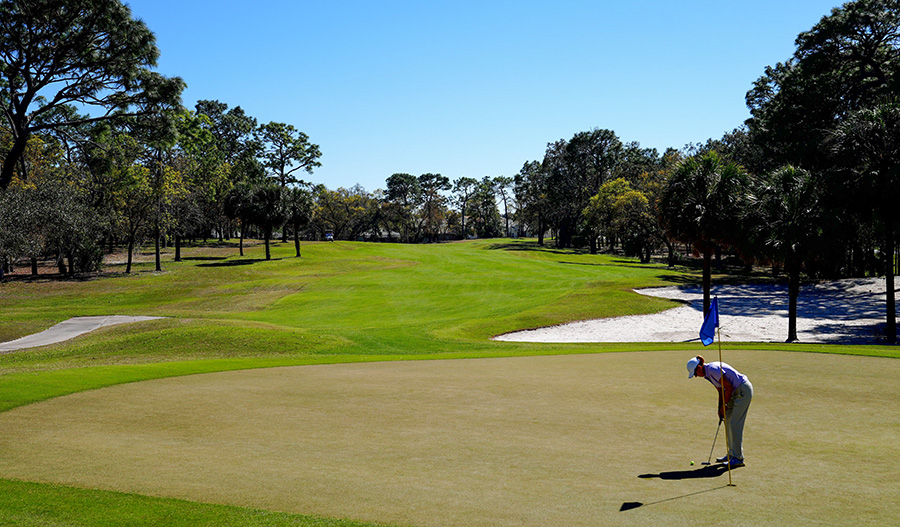Lengthy golf hole on a sunny day