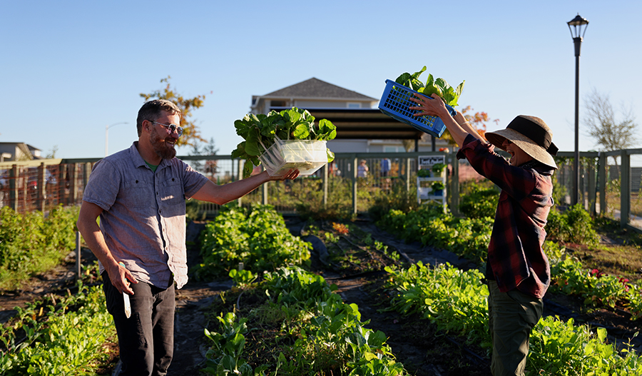 Two Whisper Valley residents working in the community garden