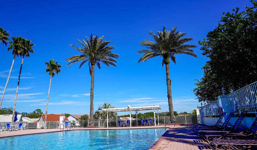 Community pool on a sunny day