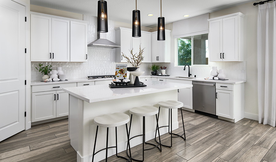 Well-appointed kitchen in a new home