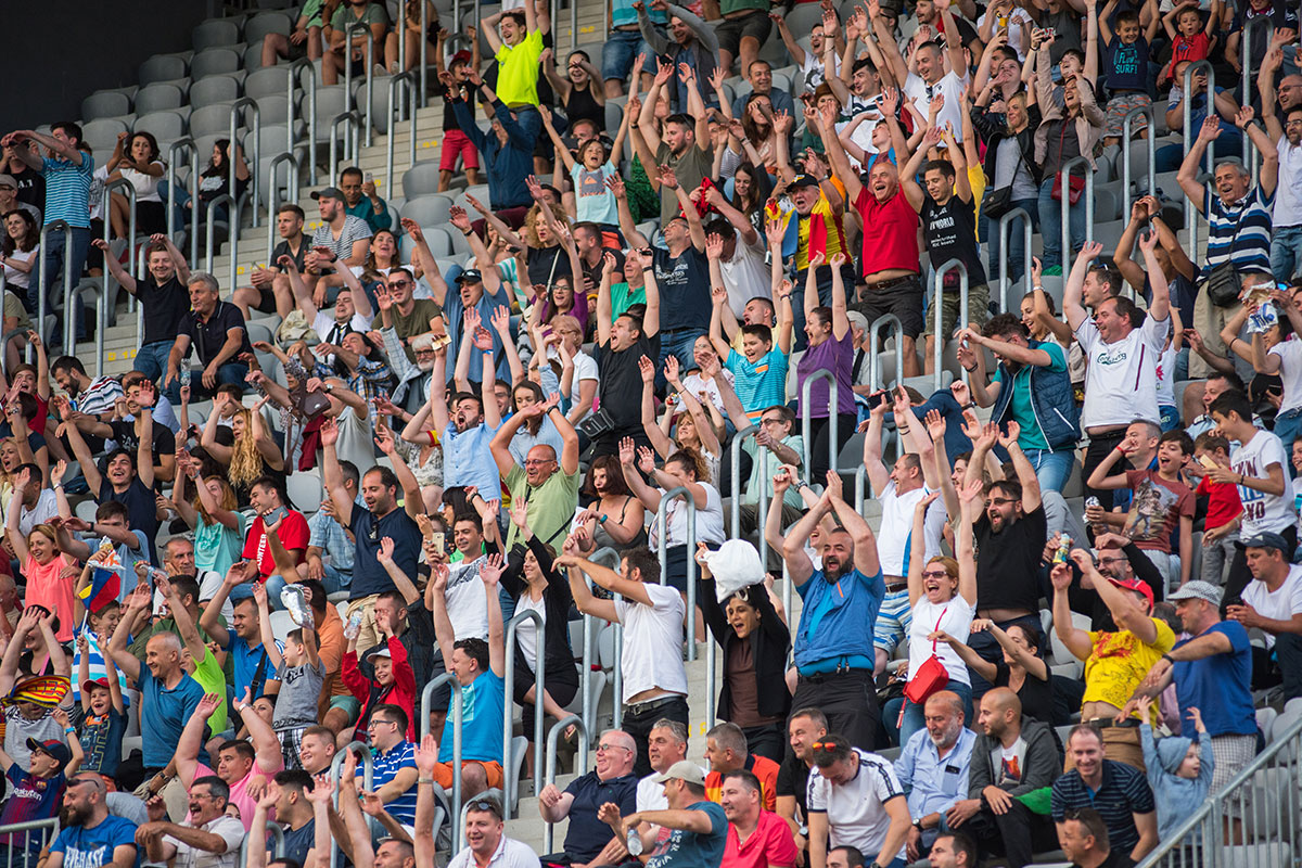 Sports fans in the crowd at a game
