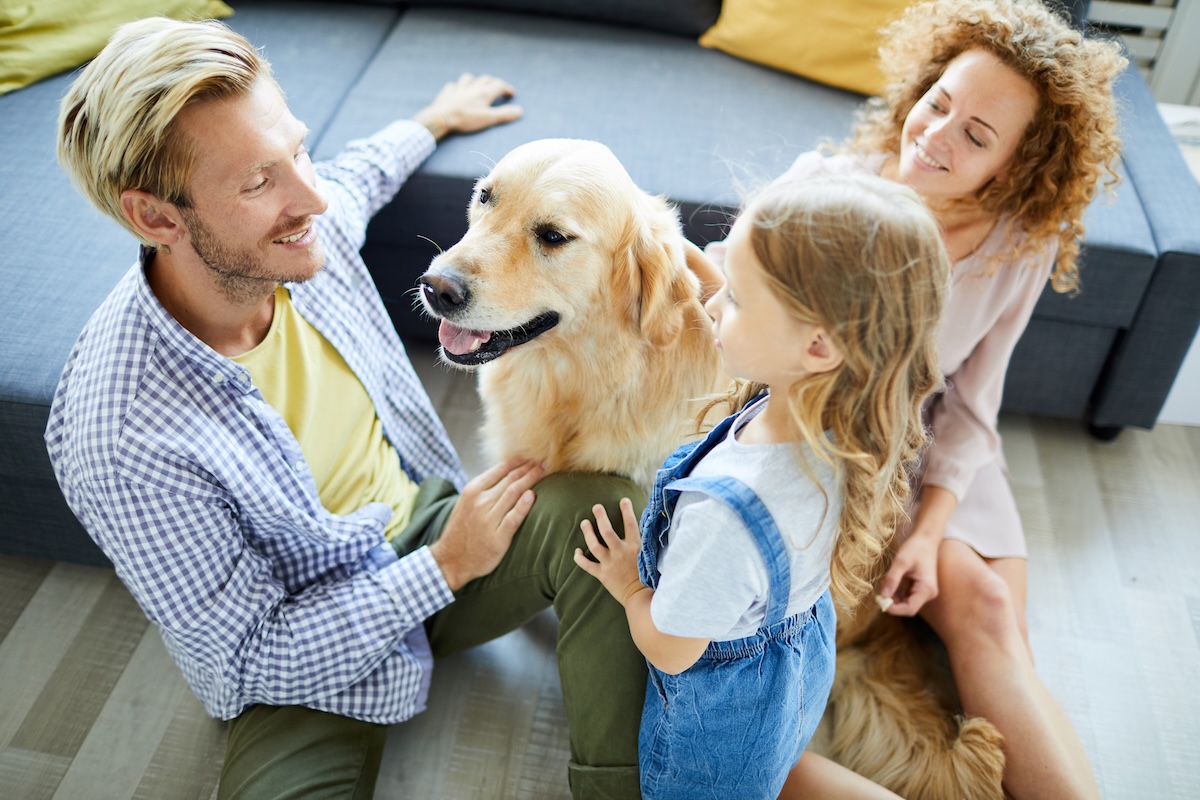 Finding and Selling Pet-Friendly Homes
