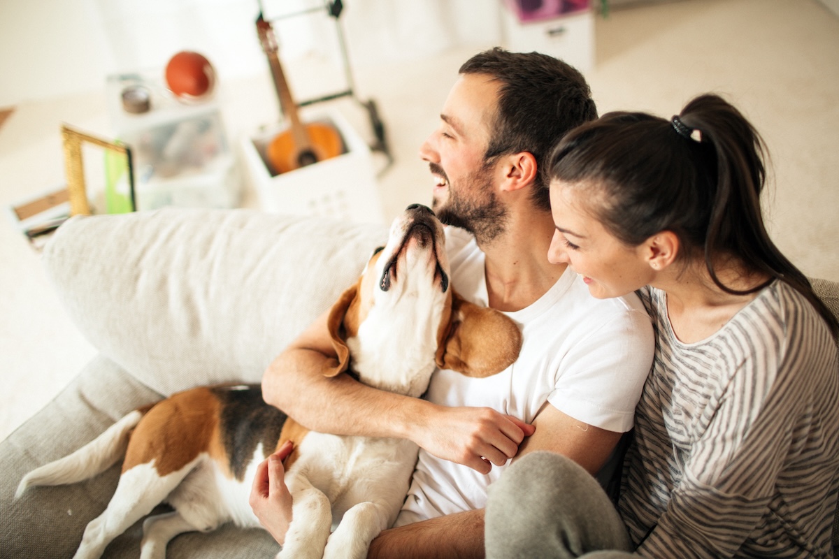 A couple cuddling with their dog on the couch