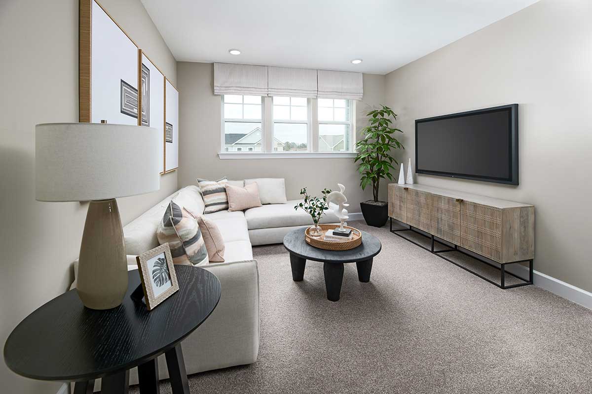 Fully furnished living room