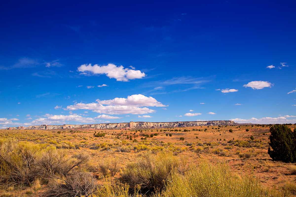 The expansive Arizona desert under a clear blue sky showcases natures beauty.