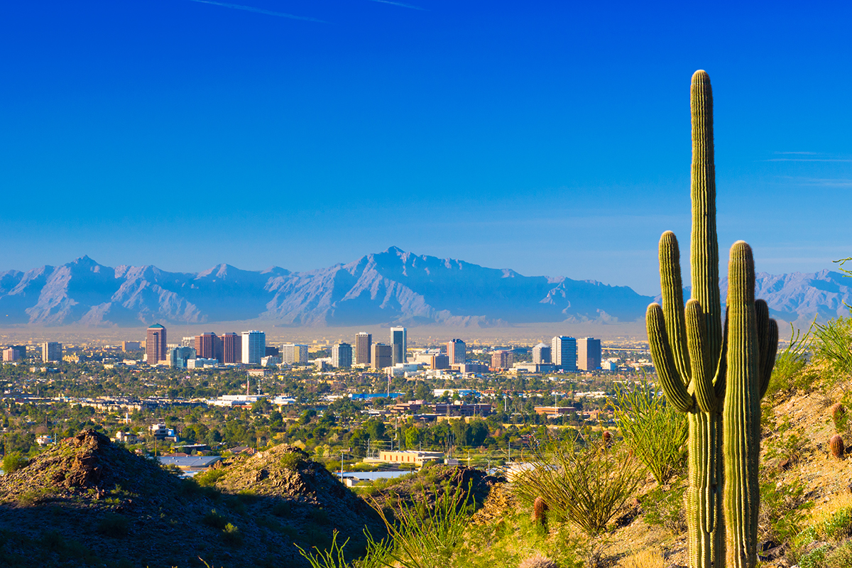 Fresh Opportunities in Blossom Rock: