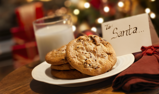 Plate of Christmas cookies for Santa