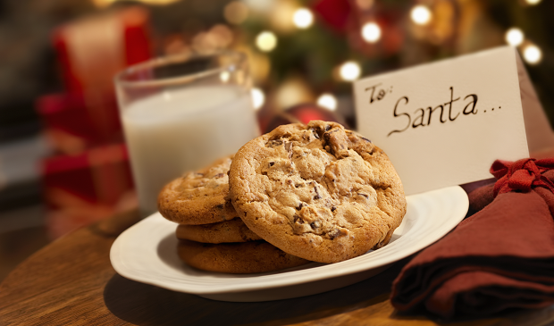 Plate of Christmas cookies and glass of milk for Santa