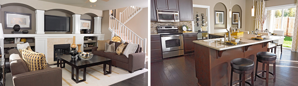 beautiful living room and kitchen