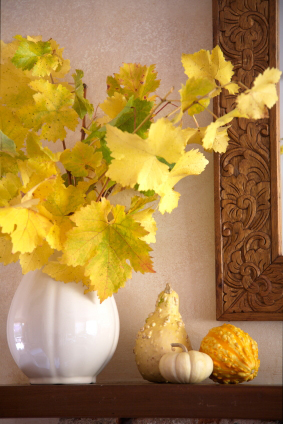Fall leaves in a vase next to various types of squash