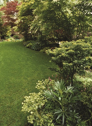 Keep your landscape looking its best