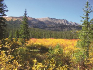 Mead, Colorado nature scene