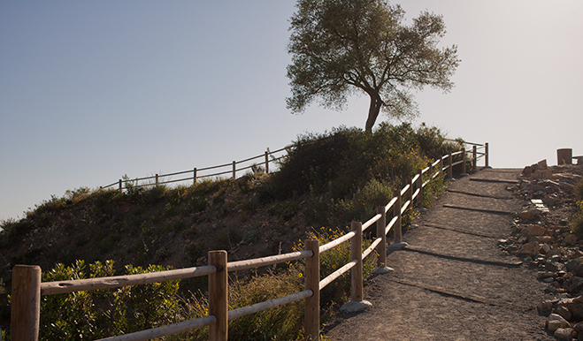 San Elijo Landscape