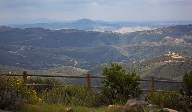 San Elijo Landscape