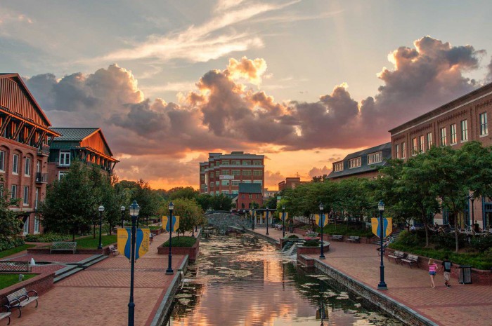 Tree-lined downtown