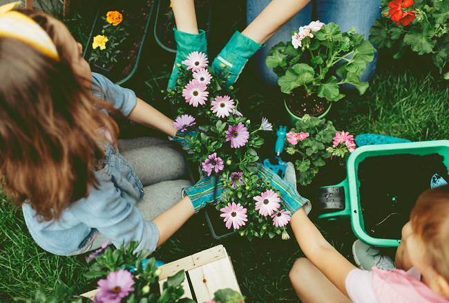 Planting flowers to improve curb appeal