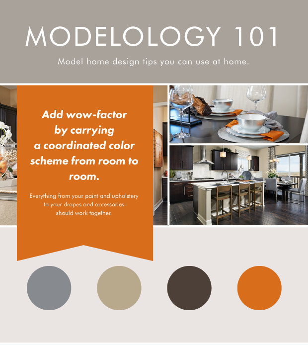 Modelology color scheme