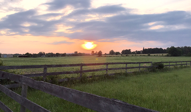 Fenced-in field at sunrise