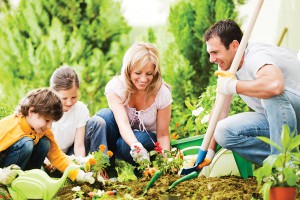 Family of four planting flowers