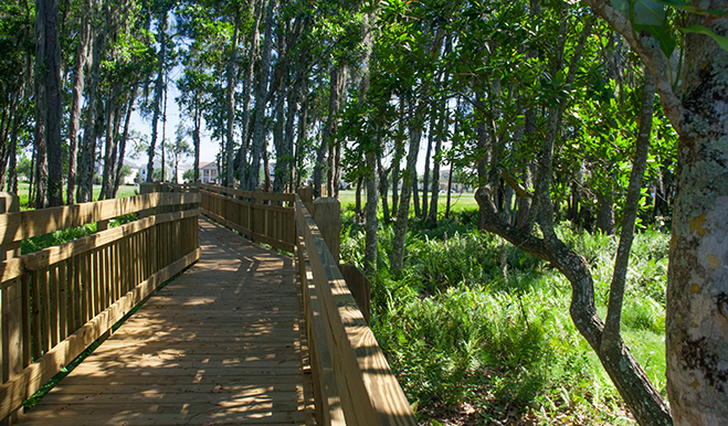 Boardwalk in a park