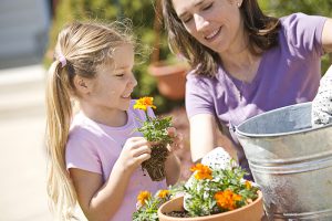 Mother and daughter planting flowers