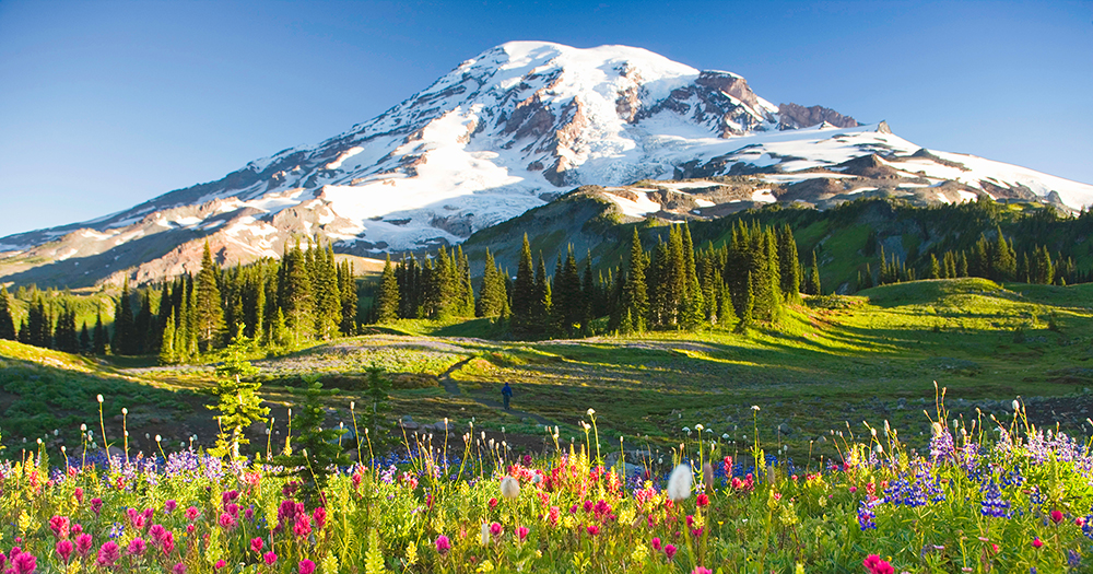 Mt Rainier
