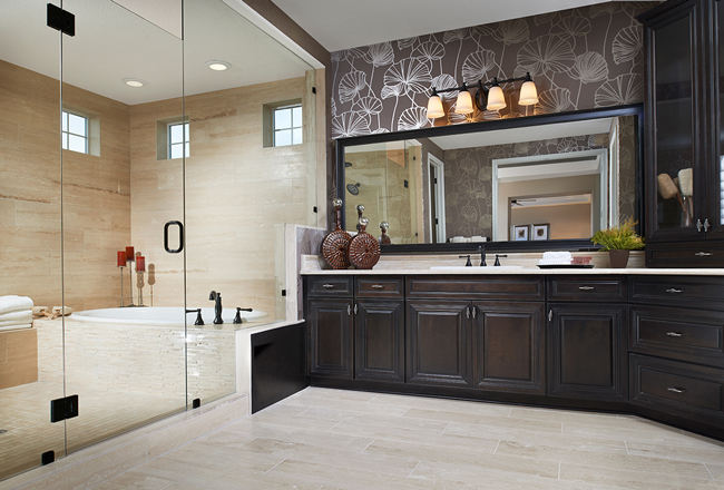 Tub inside of frameless glass shower in primary suite of Harmon home