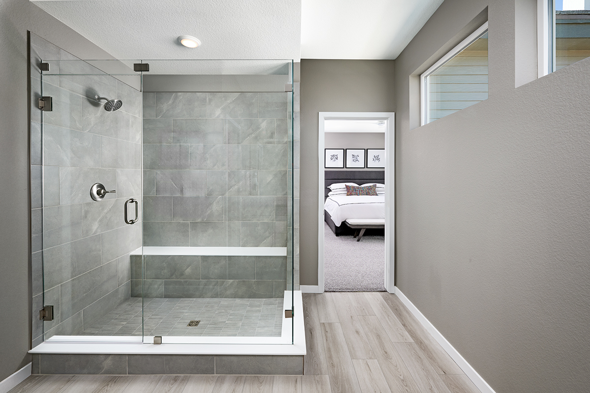 Walk-in shower with Euro glass doors