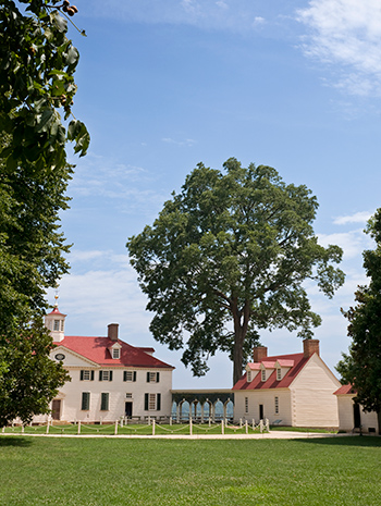 Mt. Vernon