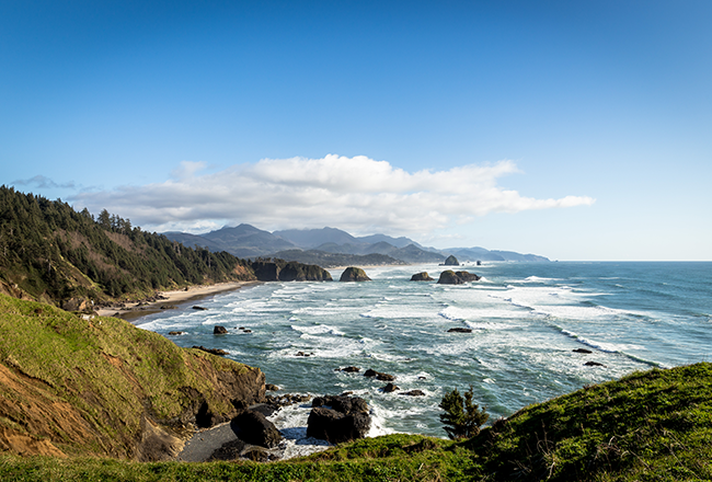 Northwest Coastal Beach Overlook