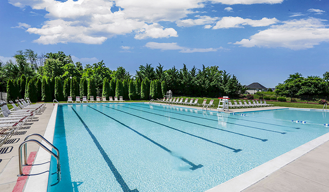 Community lap pool