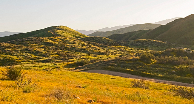 Looking for a Top San Diego-Area Community? Fall in Love with Fallbrook