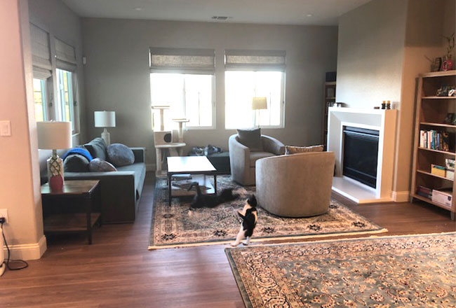 Great room with fireplace and two cats