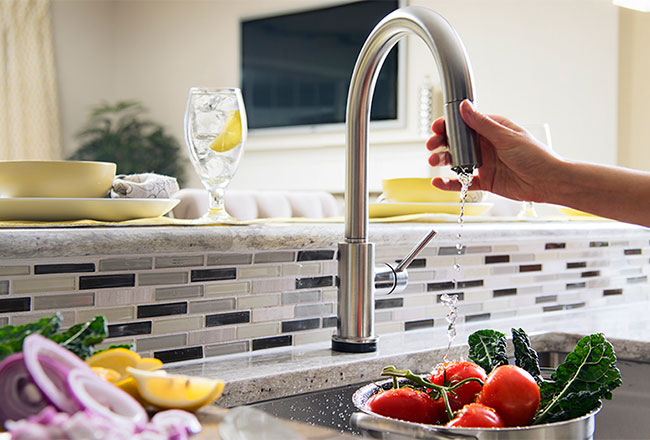 Hand washing vegetables in sink