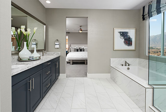 Owner's bath vanity with dark cabinets and light countertops across from tub and glass walk-in shower