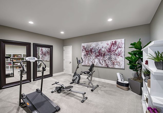 Home gym with bike machine, treadmill, rowing machine, and large mirrors